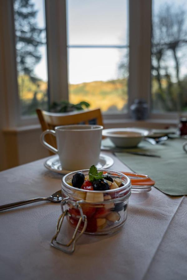 Glyntwrog House Bed & Breakfast Betws-y-Coed Exterior foto